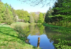 Bois de Hartmannswiller