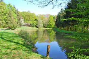 Bois de Hartmannswiller