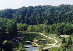 Bois de Haut Charme