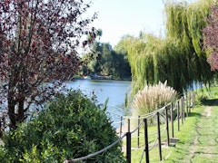 Bois de Lurey