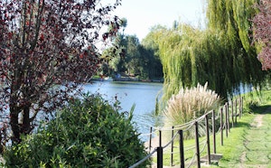 Bois de Lurey