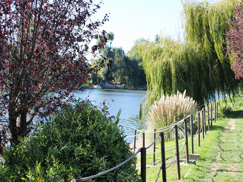 Bois de Lurey