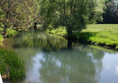 Bois de Martincourt