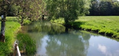 Bois de Martincourt