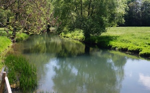 Bois de Martincourt