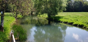 Bois de Martincourt