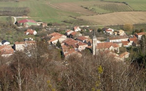 Bois de Thillot