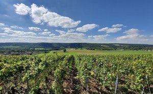 Heights of Montier-en-l'Isle