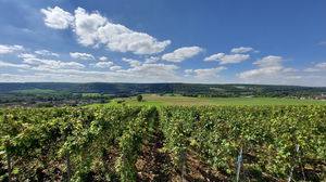 Hauteurs de Montier-en-l'Isle