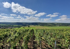 Hauteurs de Montier-en-l'Isle