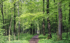 Bois l'Évêque