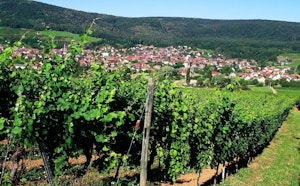 Tour of Bollenberg