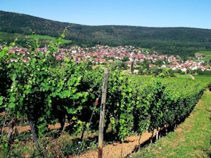 Tour of Bollenberg