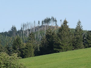 Brézouard