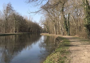 Canal de la Haute-Seine