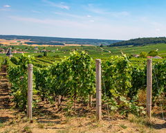 Chapelle Saint-Lié et Bois de la Fosse