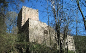 Château du Hagueneck
