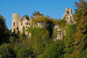 Château du Morimont 