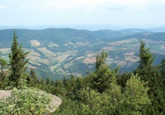 Col du Falimont