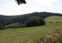 Collet de l'Étang de la Cuve