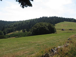 Collet de l'Étang de la Cuve