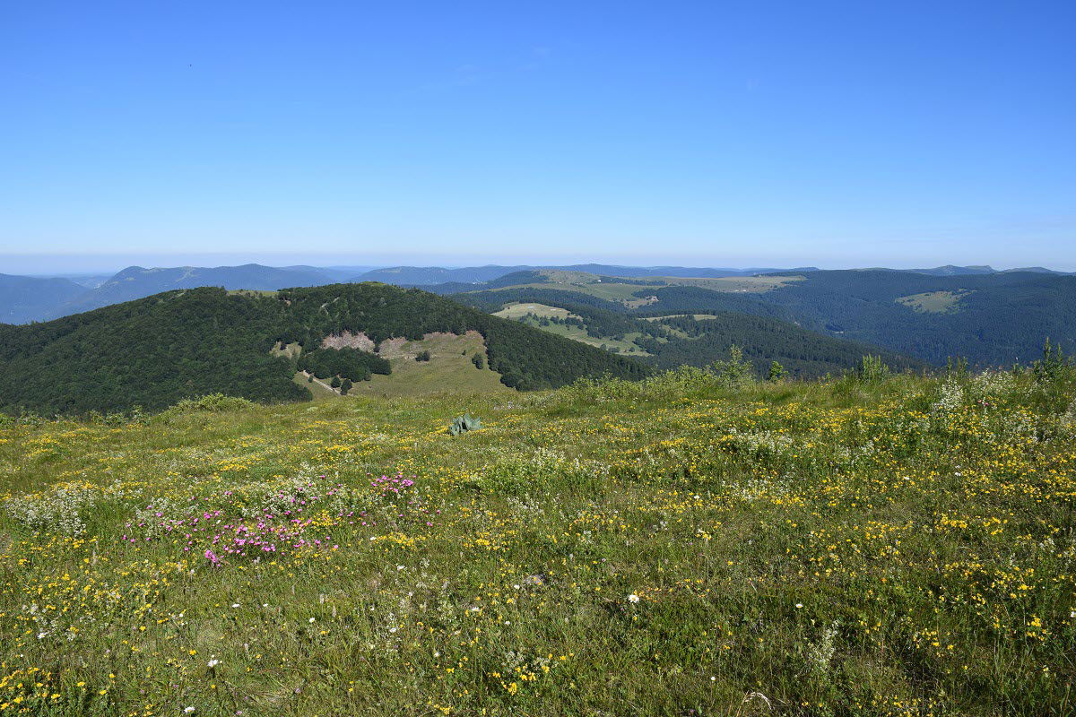 De Guebwiller au Grand Ballon
