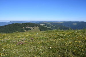 De Guebwiller au Grand Ballon
