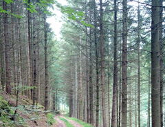 Domaine de la Verrerie