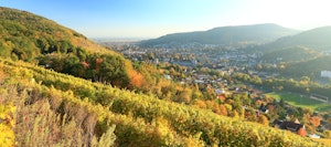 Du Petit Ballon à Guebwiller