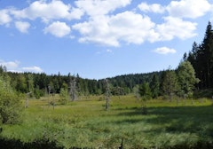 Étang de Jemnaufaing