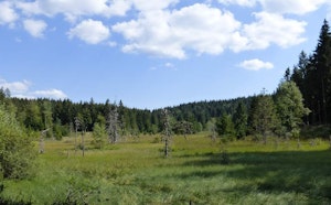 Étang de Jemnaufaing