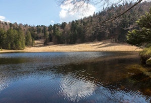 Étang de la Cuve