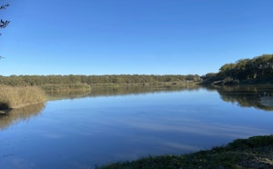 Étang du Grand Coulon and Lac du Der-Chantecoq