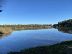 Étang du Grand Coulon and Lac du Der-Chantecoq