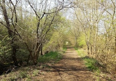Forêt de Gorcy