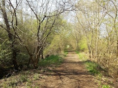 Forêt de Gorcy