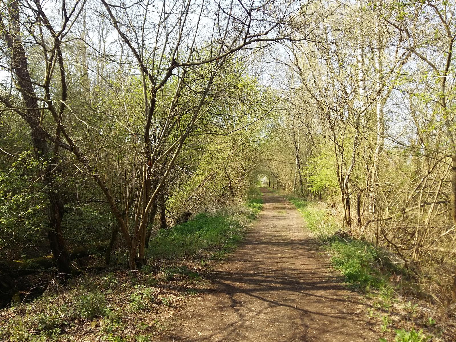 Forêt de Gorcy