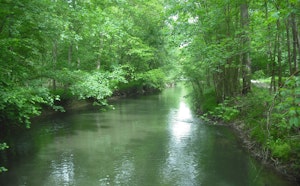 Forêt de l'Illwald