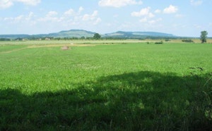Bois Jury and Nauchamp