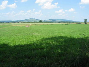 Bois Jury et Nauchamp