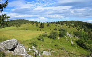 Col du Wettstein