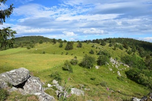 Col du Wettstein