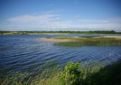 Étang de Lachaussée
