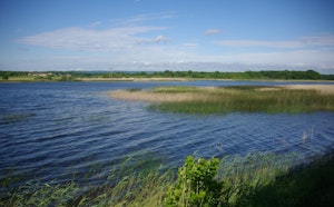 Étang de Lachaussée