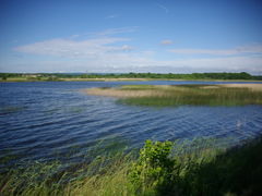 Étang de Lachaussée