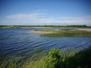 Étang de Lachaussée