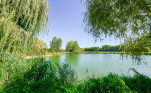 Plan d'eau du Monteuil