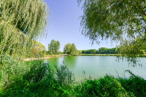 Plan d'eau du Monteuil