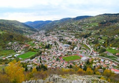 Roche Beuty