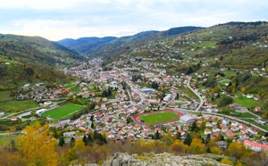 Roche Beuty